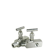 GV1 Series Gauge Valves