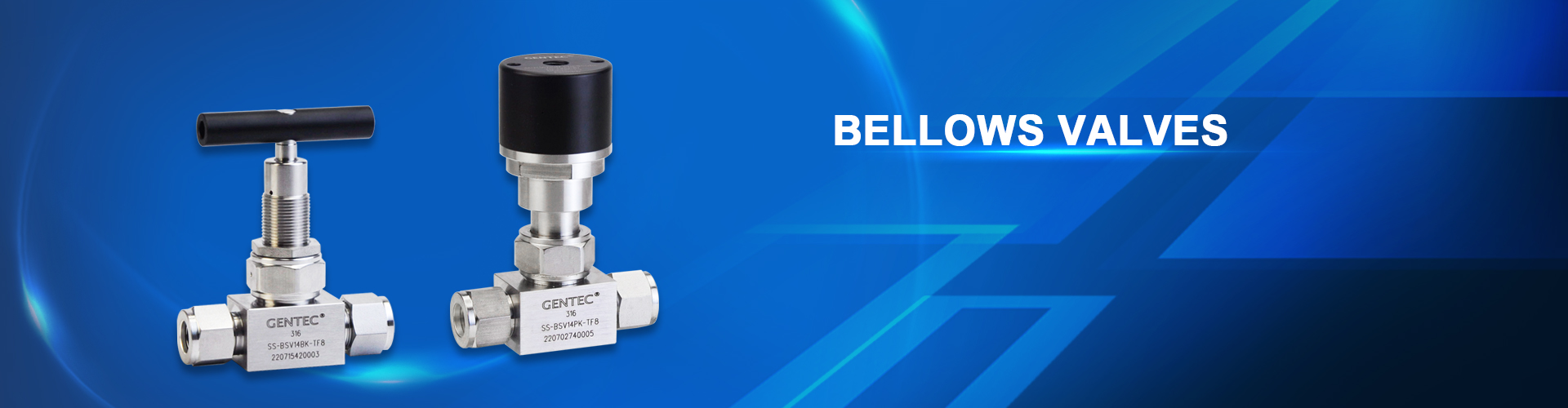  Bellows-Sealed Valves