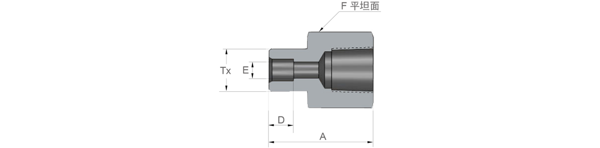 GENTEC 捷锐 SWFC 承插焊内螺纹接头