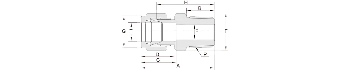 GENTEC Male Connectors